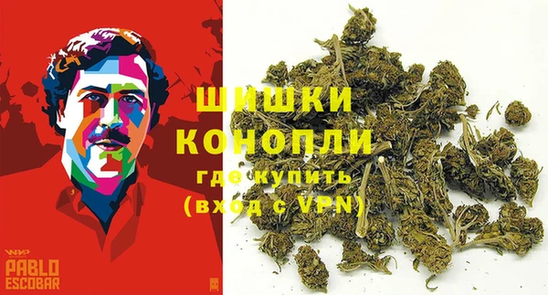 экстази Белокуриха