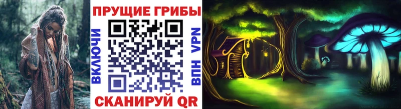 Галлюциногенные грибы мицелий  Волхов 