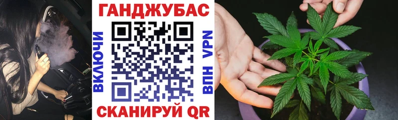 KRAKEN Волхов Канабис семена